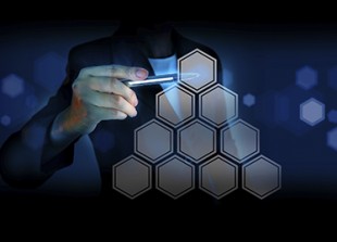 Organizational Design for IT